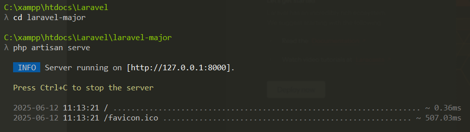 Code PHP Artisan Serve